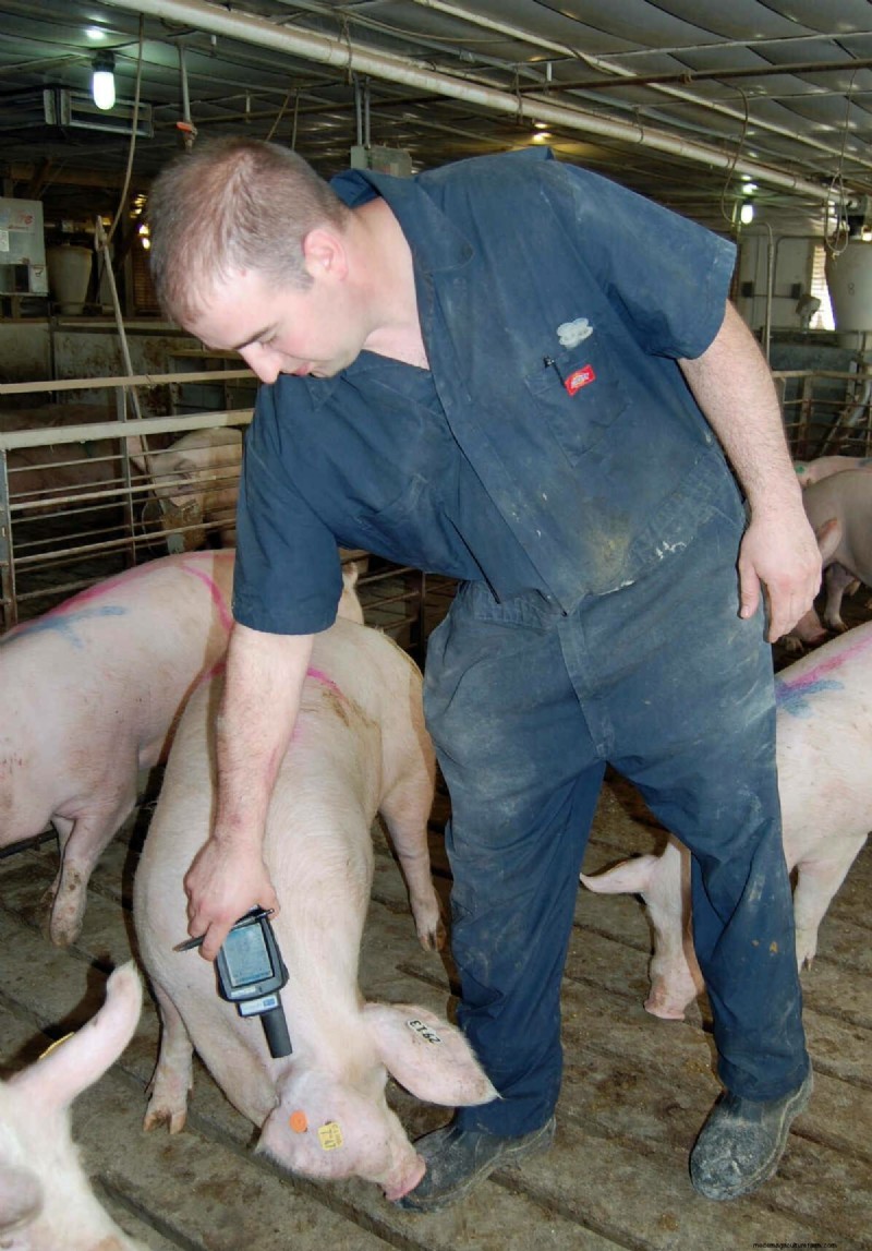 Pig Tech: Improving Pork’s Future