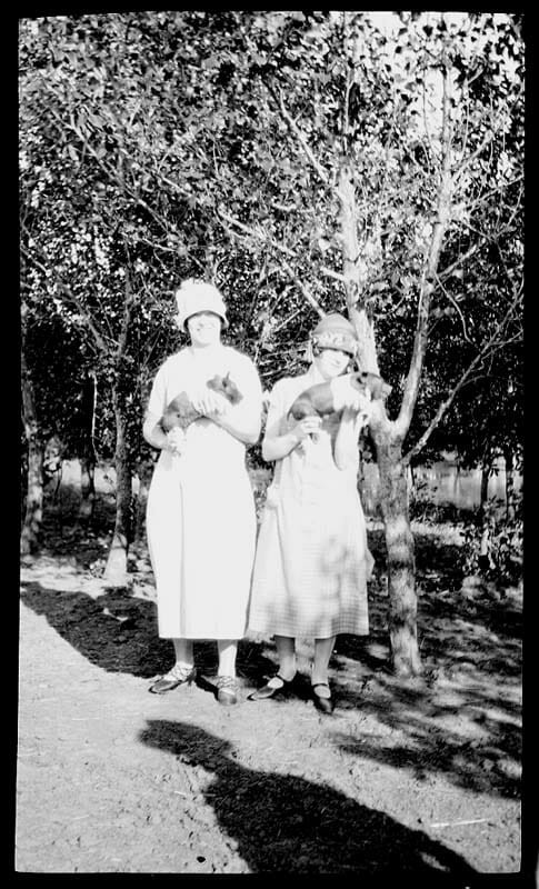 16 Porkers from the Past