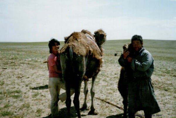 Ask a Mongolian Camel Herder