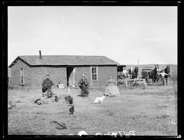 11 Classic Chicken Pics