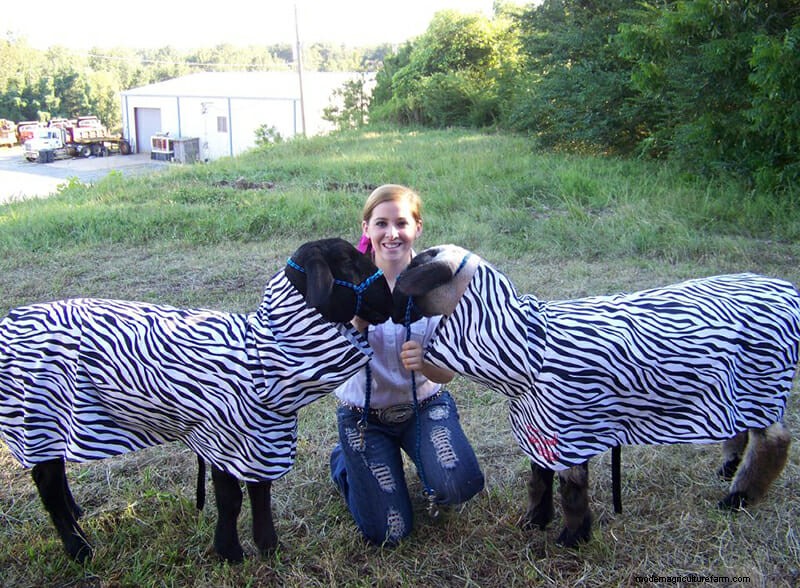 Photo Essay: Lambie Jammies