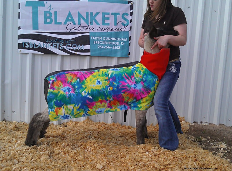 Photo Essay: Lambie Jammies