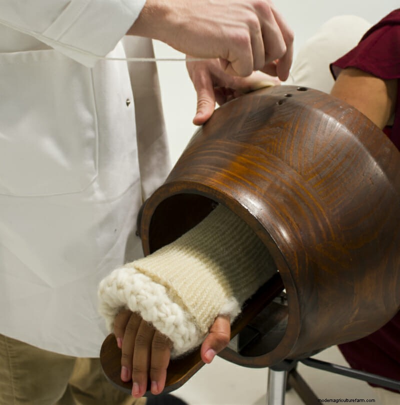 Using Sheep To Test the Boundaries of Science (No Sheep Were Harmed)