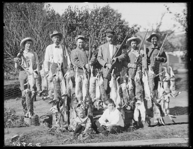 11 Vintage Photos of Rascally Rabbits