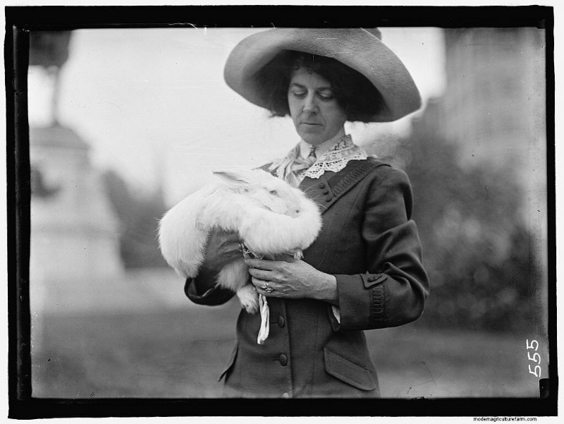 11 Vintage Photos of Rascally Rabbits