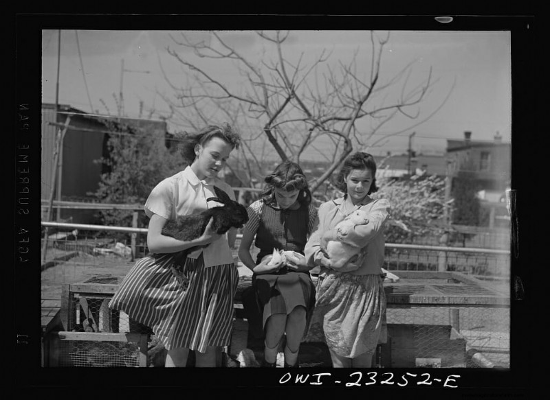 11 Vintage Photos of Rascally Rabbits