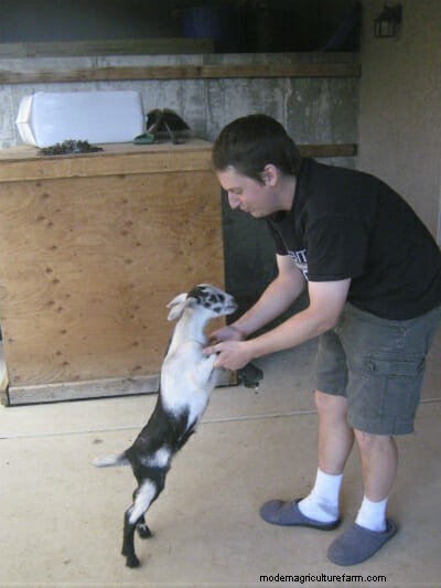 Successful Game Developer: ‘I Owe it All to My Goats’