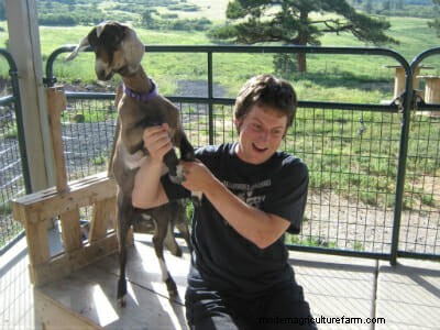 Successful Game Developer: ‘I Owe it All to My Goats’