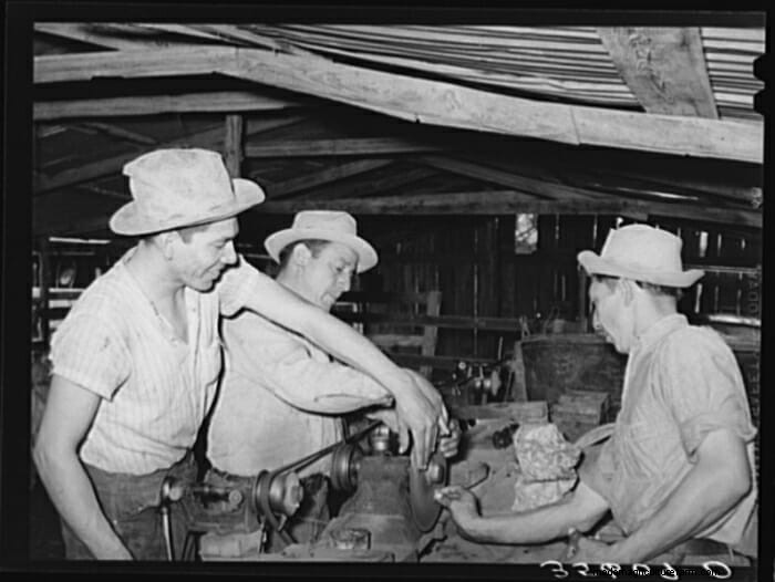 13 Vintage Pictures of Sheep Shearing