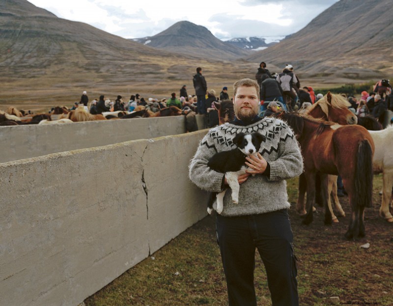 Half Wild: Iceland’s Incredible Horses
