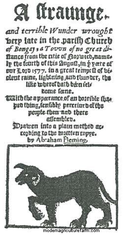 Devil Dogs: The Mysterious Black Dogs of England