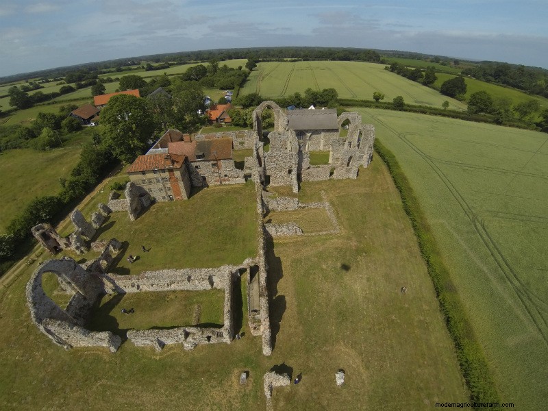 Devil Dogs: The Mysterious Black Dogs of England