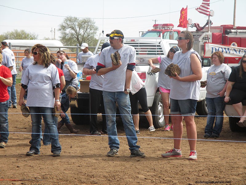 Inside the World Championships of Cow Chip Tossing