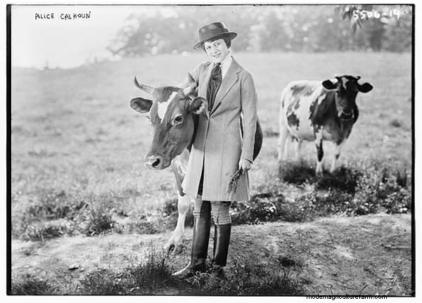 9 Cows of Yesteryear
