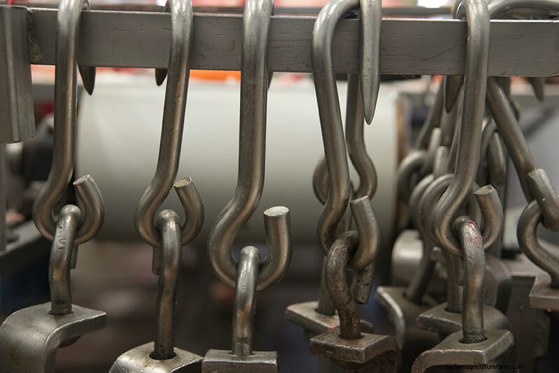 Scenes From the Slaughterhouse