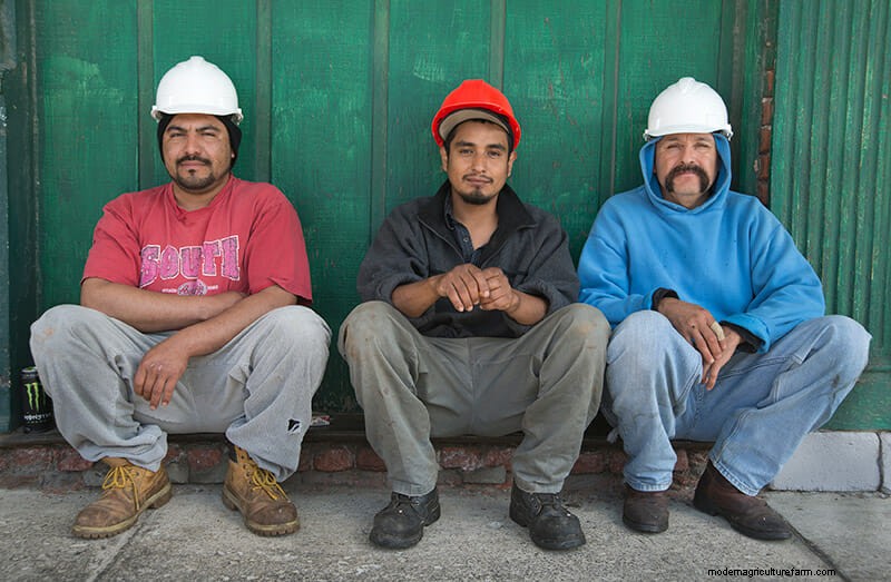 Scenes From the Slaughterhouse