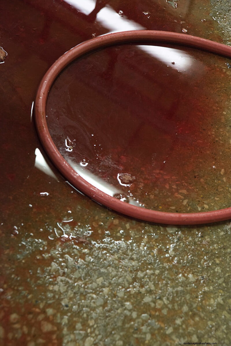 Scenes From the Slaughterhouse