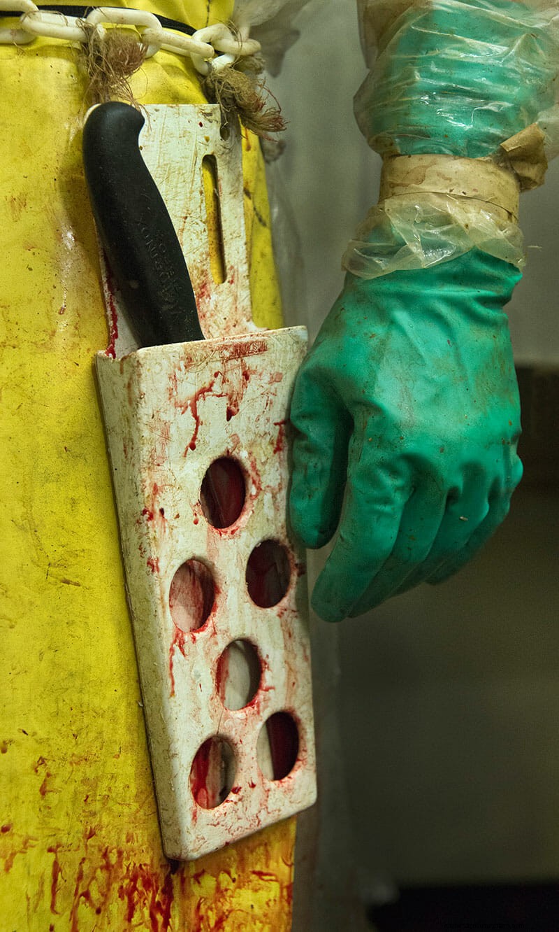 Scenes From the Slaughterhouse