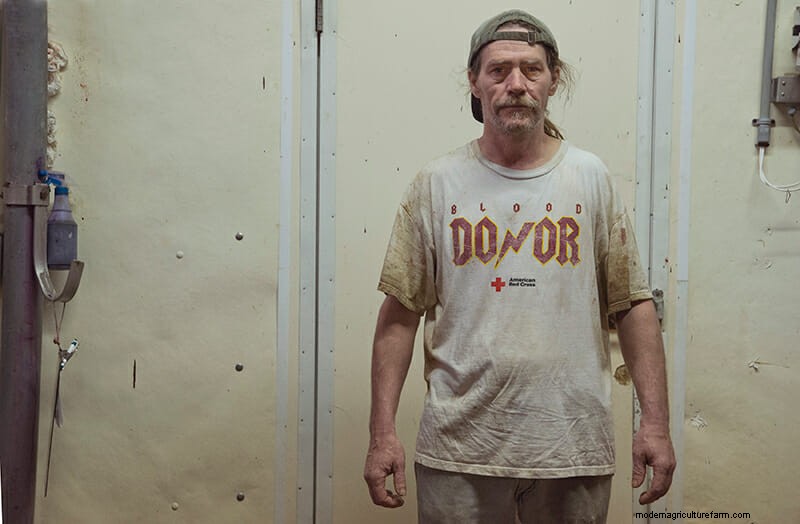 Scenes From the Slaughterhouse