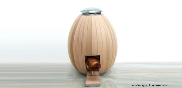 Putting the “Chic” in Chicken: 6 Modernist Coops