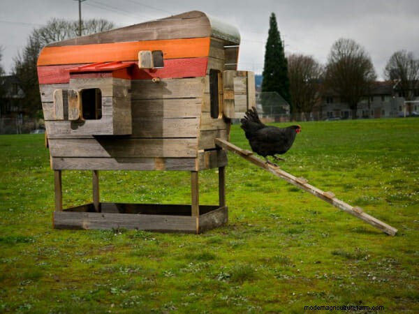 Putting the “Chic” in Chicken: 6 Modernist Coops