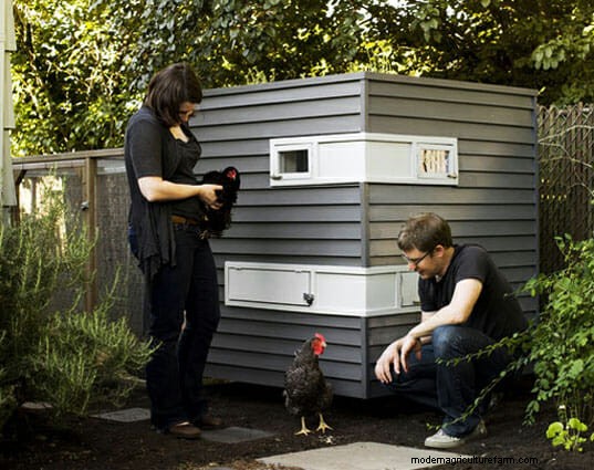Putting the “Chic” in Chicken: 6 Modernist Coops