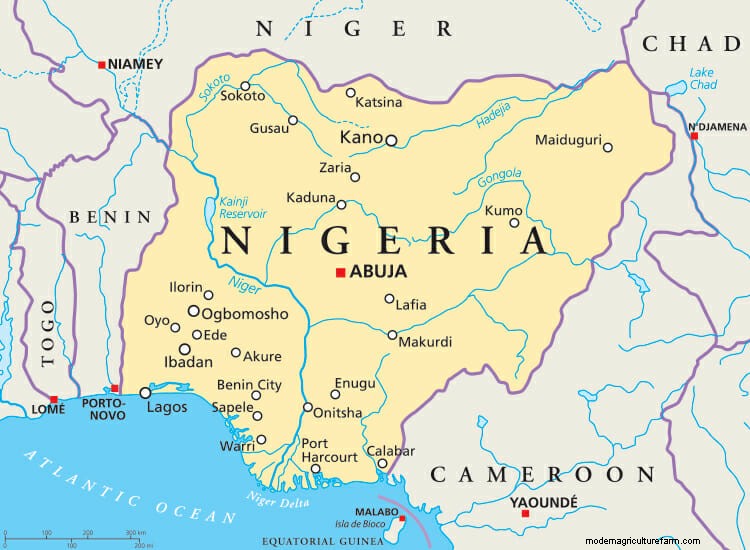 More Than 80 People Killed In Nigeria Over Cattle Grazing Rights