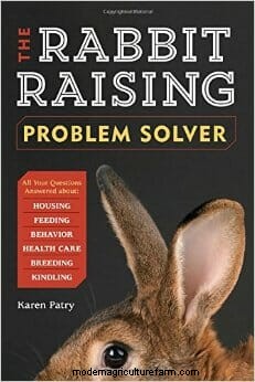 Review: The Rabbit-Raising Problem Solver