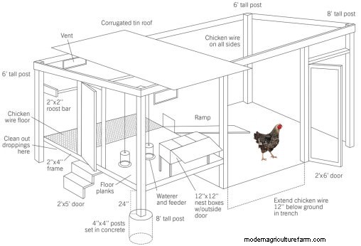 How to Build a Chicken Coop