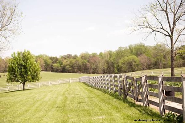 Feeling Lucky? A Short Essay Could Score You a Sweet Debt-Free Farm