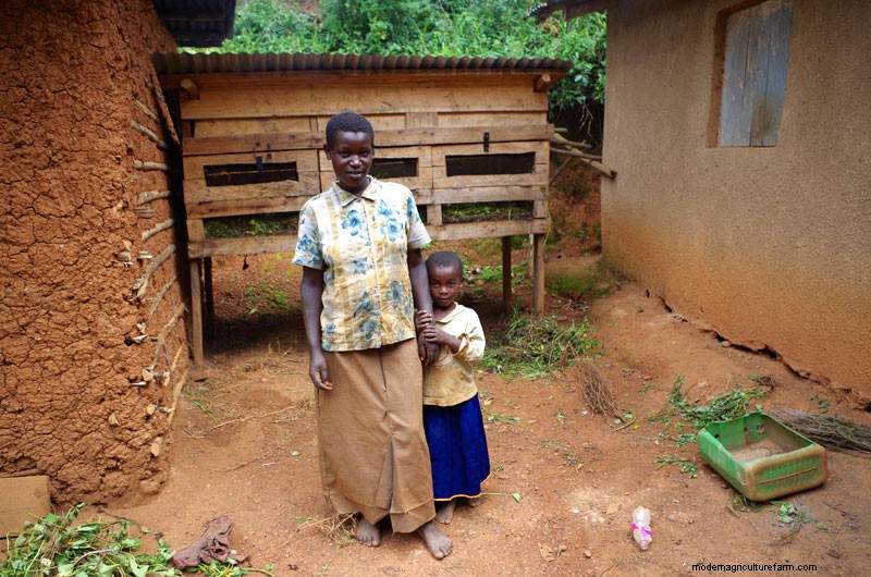 Rabbits: Cute, Cuddly, and Capable of Feeding Villages