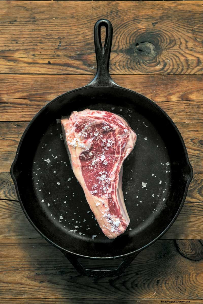 Meet Anya Fernald, the First Lady of Livestock