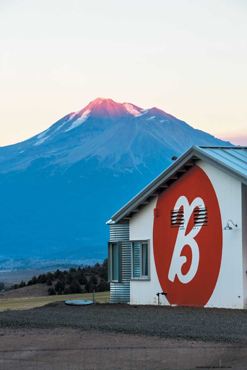 Meet Anya Fernald, the First Lady of Livestock