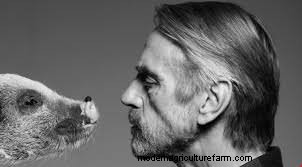 Here’s Why a Former Beatle and 007 are Turning Their Noses Up at Industrial Pork Production