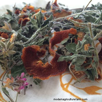 How to Make Your Own Natural Bee Smoker Fuel