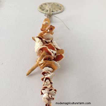 How to Make Your Own Natural Bee Smoker Fuel