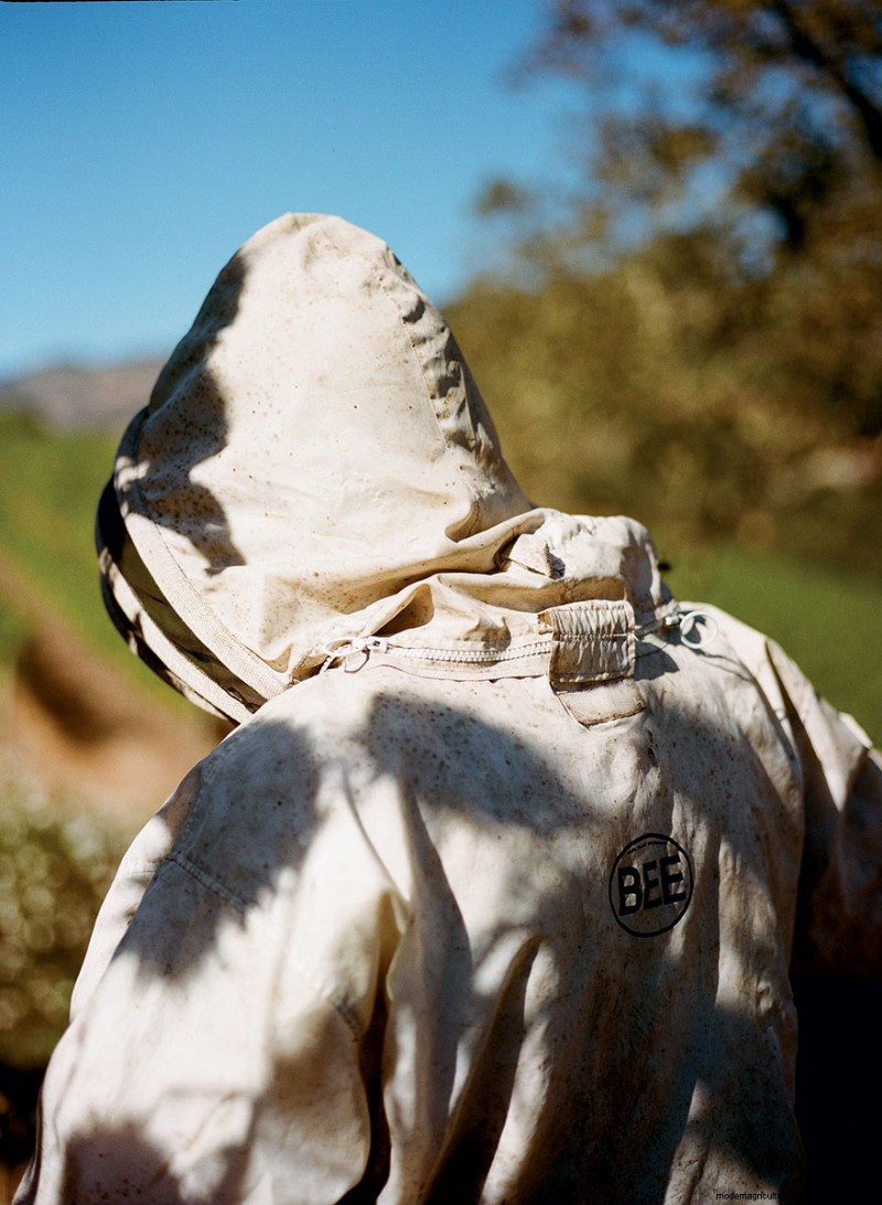 Essential Beekeeping Supplies