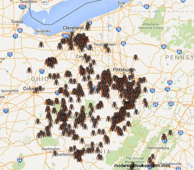 Watch Out East Coast: The Cicadas Are Coming!