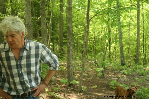 Staten Island’s Flock of Feral Turkeys Retire Upstate