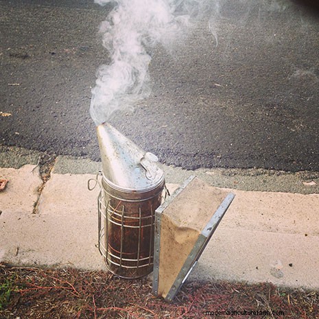 The Top 10 Mistakes Most Newbie Beekeepers Make