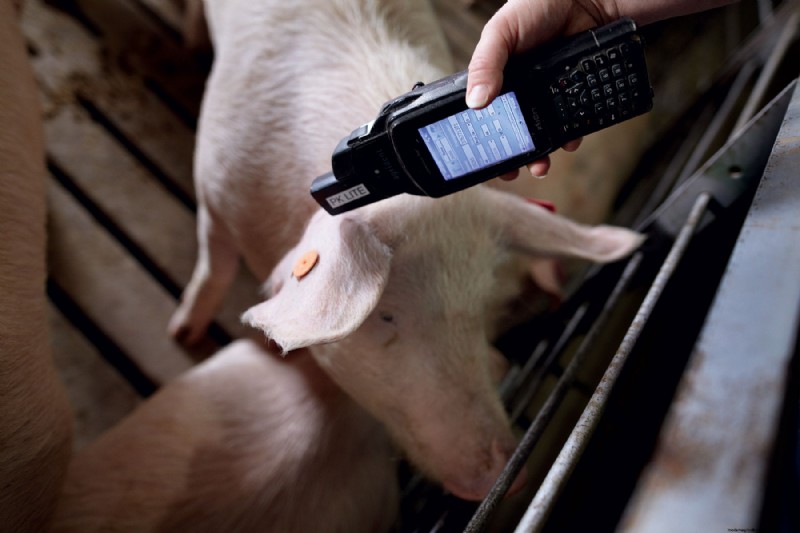 Building a Better Pigpen