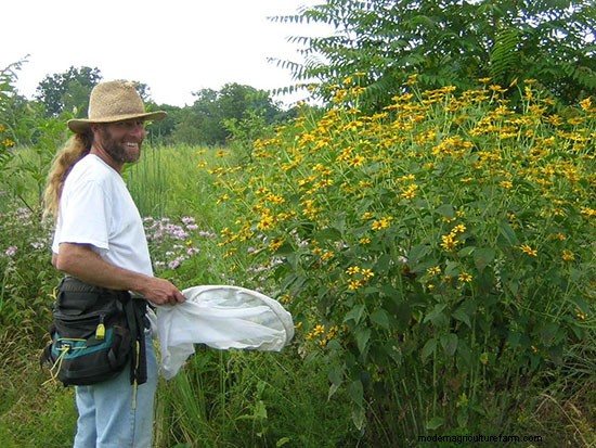 Get Friendly with Helpful, Not Hurtful, Ground Bees