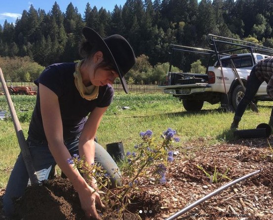Western Drought Forces Farmers to Make Tough Decisions