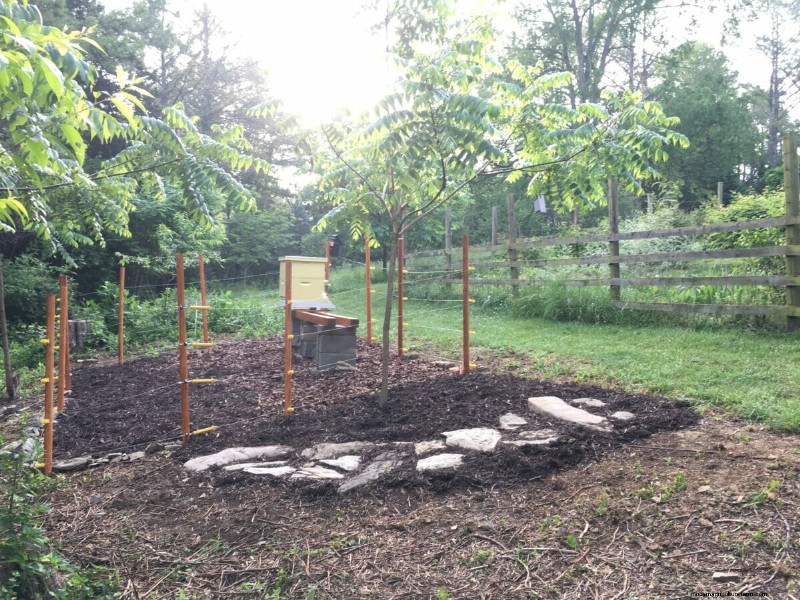 Is Virginia’s Beekeeping Lottery a Good Idea?