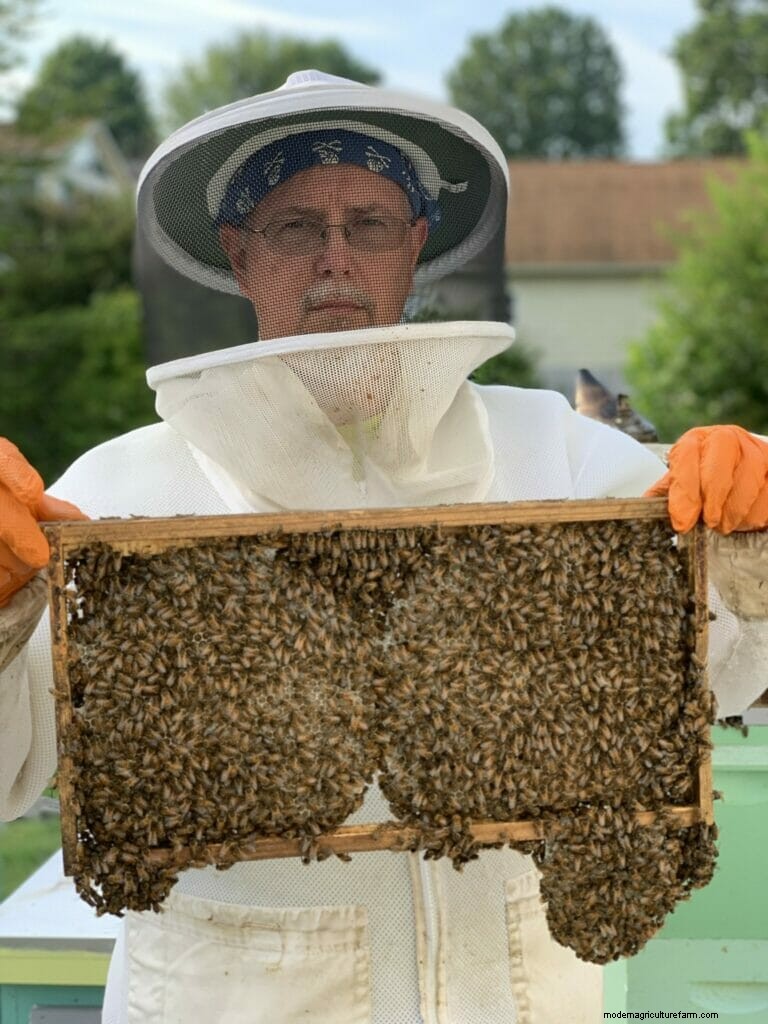 Is Virginia’s Beekeeping Lottery a Good Idea?