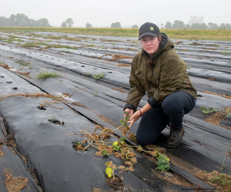 Climate Change Is Intensifying the Effects of Fertilizer Runoff