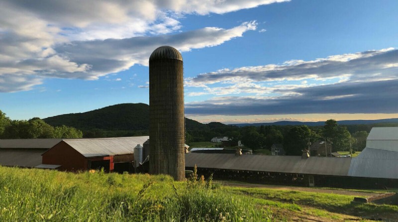 Can Biodigesters Save America’s Small Dairy Farms?