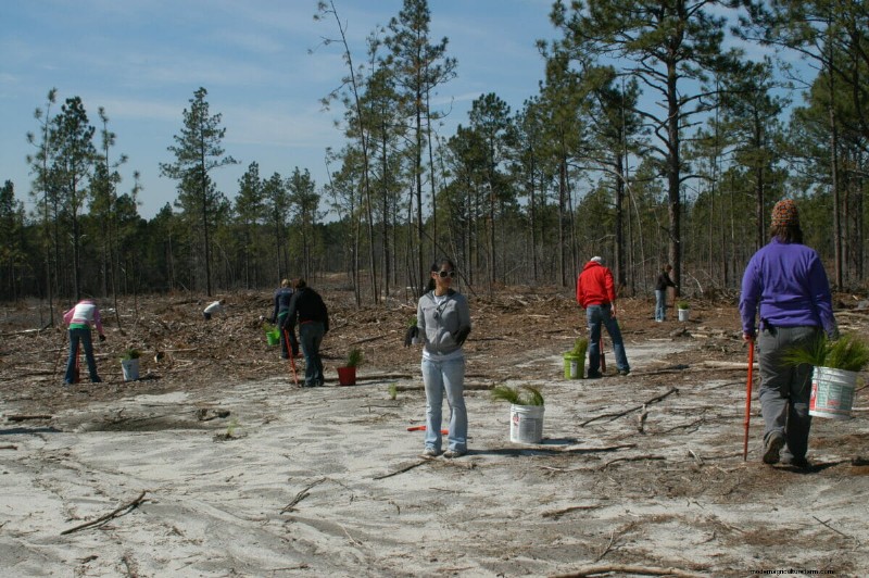 A Look Inside the Lab Helping to Restore America’s Native Plants