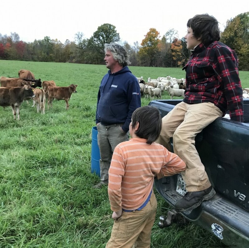Maine Farmers Face a Crisis Over Forever Chemicals
