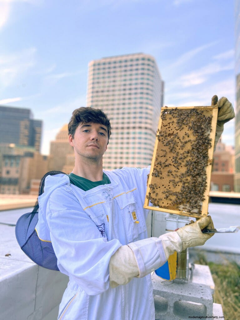 These Companies Will Do the Beekeeping For You
